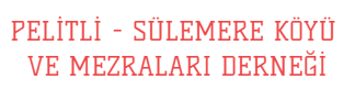 Erzincan S&uuml;lemere  Pelitli K&ouml;y&uuml;