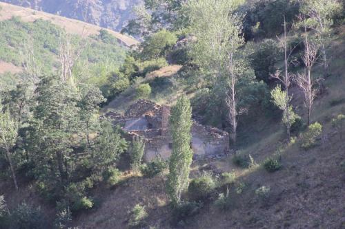 IMG 0498