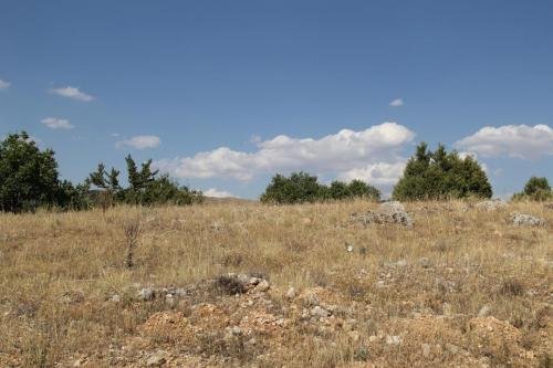 pelitli2018 (150)