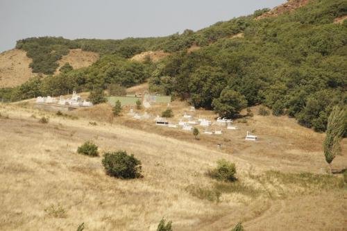 pelitli2018 (167)