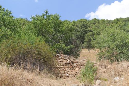 pelitli2018 (91)
